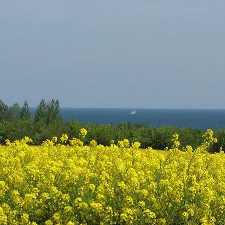 Altstadtblick - Abc193 *