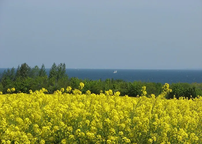 Altstadtblick - Abc193 *